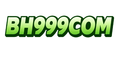 BH999COM logo